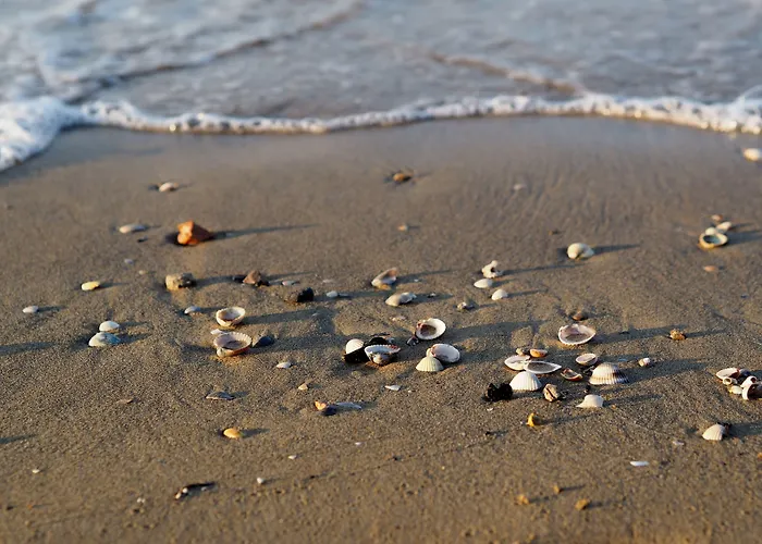 Apartmán Cozy Seaside Flat In The Centre - Beahost